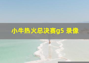 小牛热火总决赛g5 录像